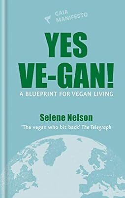 Yes gan a blueprint for - a,