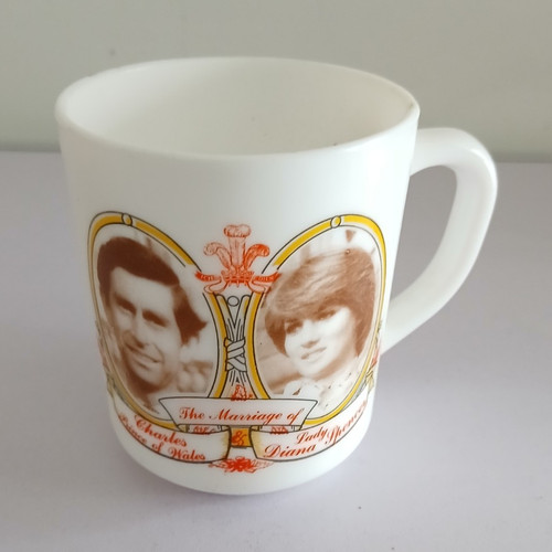 Prince charles lady diana - charles,