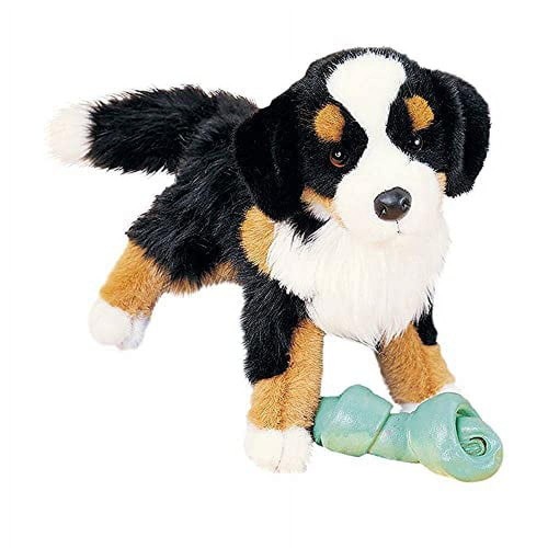 Douglas trevor bernese - douglas,