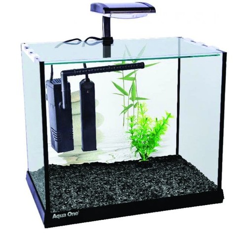 Aqua one betta oasis - betta,