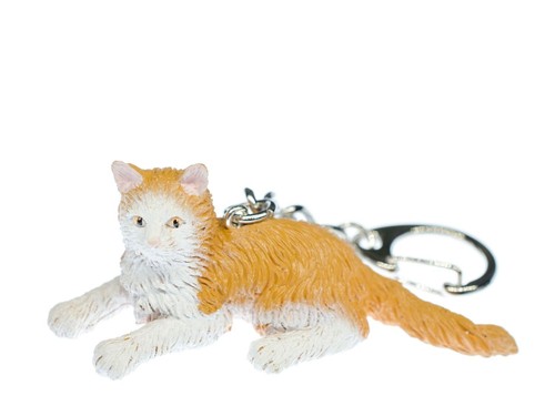 Norwegian forest cat - forest, charm