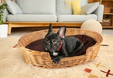 Honey Color Premium Wicker Dog