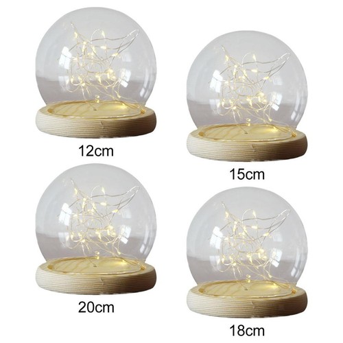 Glass dome with wood base - glass,