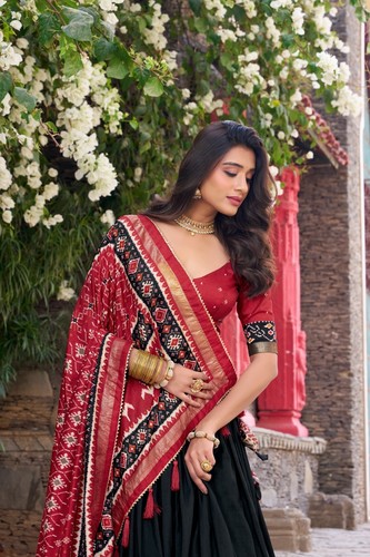 Indian ethnic bollywood - ethnic,