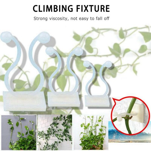 Climbing wall clip plant stent - climbing,