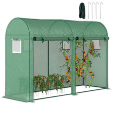 Plant Tomato Growth Greenhouse