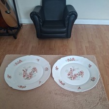 Arcopal France Florentine Cherry Blossom Dinner Plates 10" set of two
