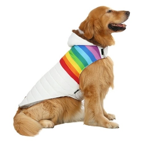 Rainbow puffer dog - dog, coat
