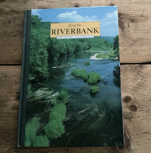 Along the riverbank - riverbank,