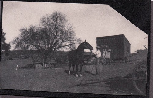 Vintage photograph horse men - vintage,