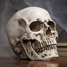 Anatomical Medical Human Skull Replica Model 1:1 Life-size Skeleton Head Teeth