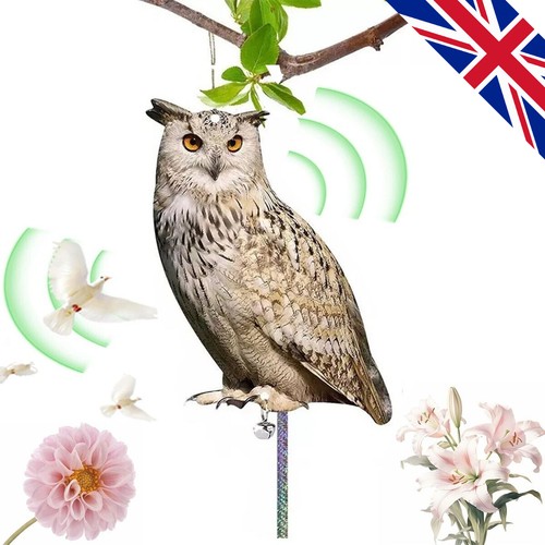 Realistic owl decoy deterrent - decoy,