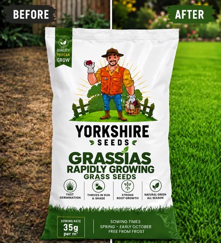 Rapidly growing grass - growing, seeds