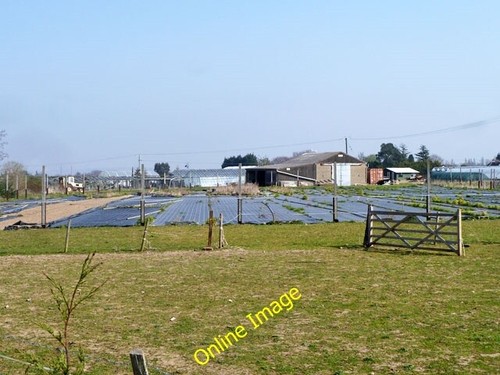 Photo 6x4 smallholdings - photo,