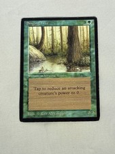 MTG Singing Tree Arabian