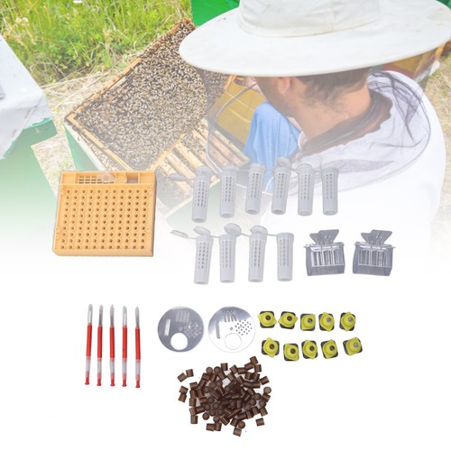 Plastic queen rearing system - plastic,