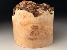 Spalted Live Edge Burr Elm