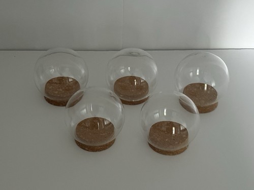 Glass dome display cloche - cloche, with