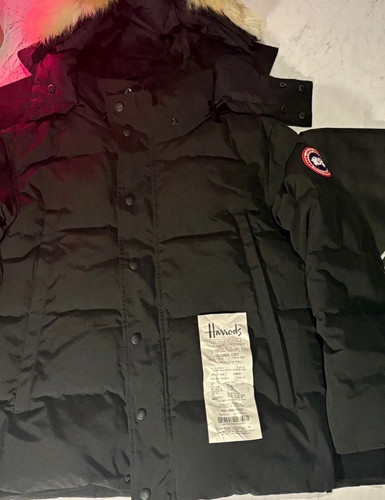 Canada goose arctic - goose,