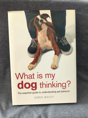What dog thinking the - is,