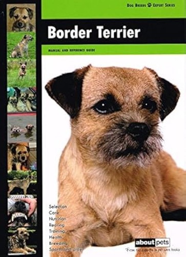 Border terrier dog - terrier:,