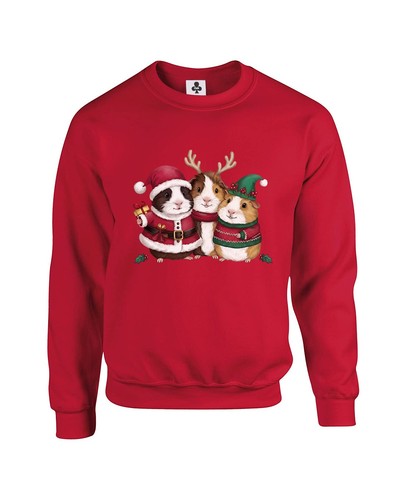 Festive guinea pigs trio - guinea,