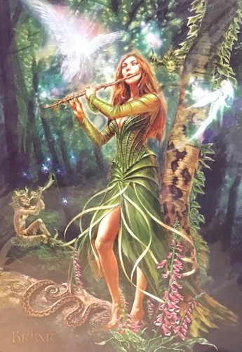Briar faerie reel - reel, fairy