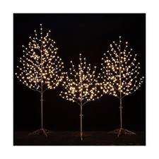 Lighted cherry blossom - cherry,