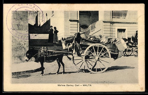 Malta maltese donkey - donkey, cart