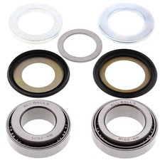 Steering Bearings P.Dust