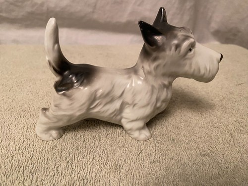 Scottish terrier scottie dog - terrier,