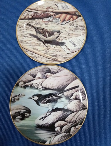 Pair wedgwood plates rspb - pair, of