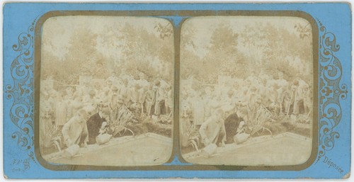 Stereoview fraget viret - &,