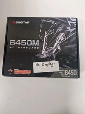 Biostar B450MHP - No Display