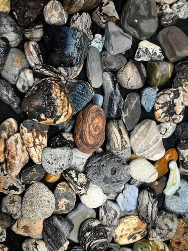 Mixed sunderland beach finds - beach,