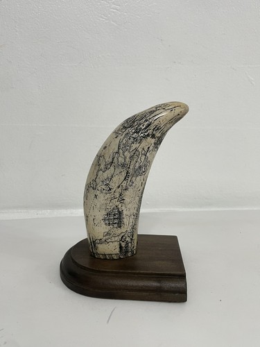 Scrimshaw sperm whale - scrimshaw,