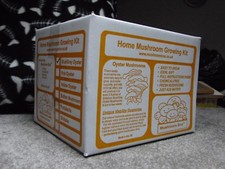 Mushroom Growing Kit - Pink Oyster