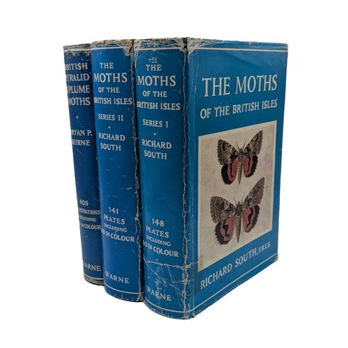 Moths the british - moths,