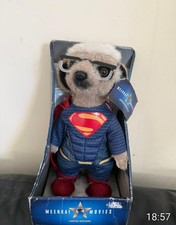 Meerkat Movies Sergei as