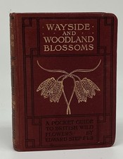 Wayside And Woodland Blossoms