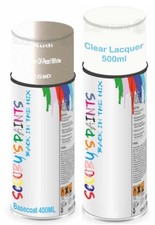 For Audi Spray Paint Aerosol