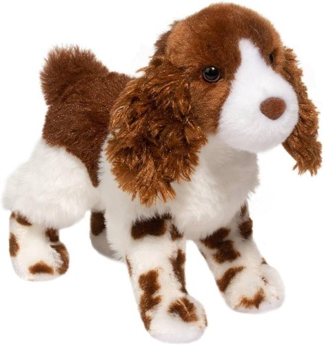 Douglas flair springer - springer, spaniel