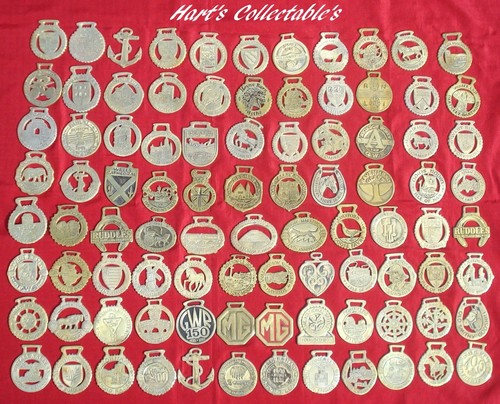 Vintage english horse - vintage, /
