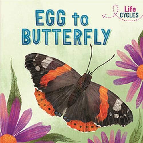 Egg butterfly - to, cycles)
