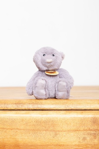 Charlie bears travel - travel, buddy