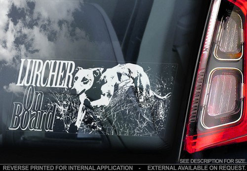 Lurcher car window - car,