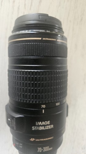 Canon 300mm 5 - canon, f/4-5.6