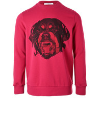 Givenchy Rottweiler Jumper