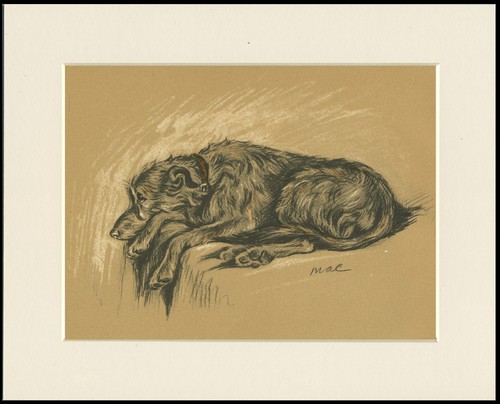 Deerhound vintage dog art - deerhound,