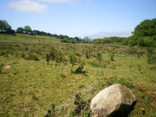 Photo 6x4 Rough grazing land